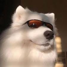 Fitri Handayani avatar